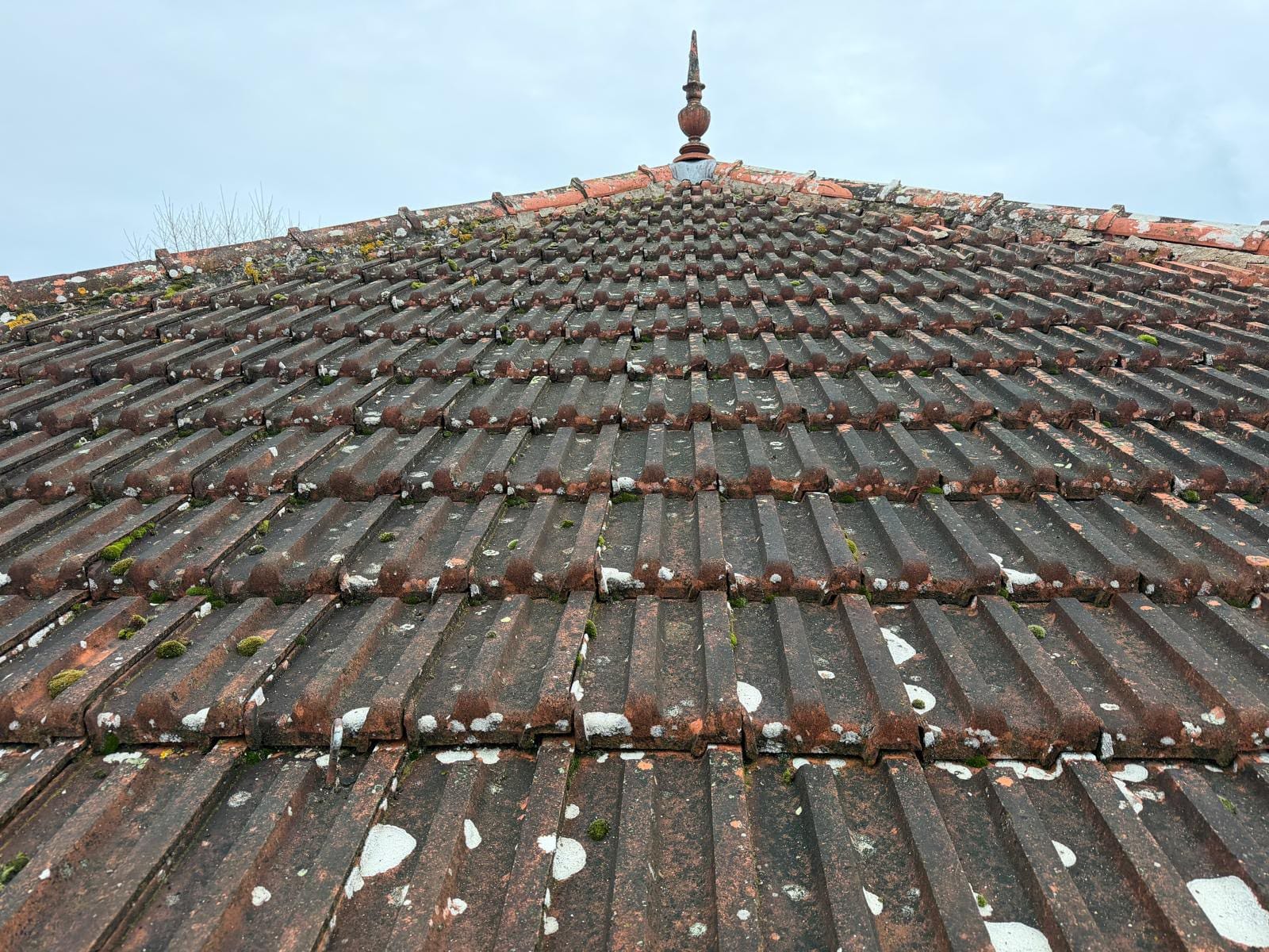 Versant de toiture ancien couvert de mousse et de lichens avant réfection complète en Essonne